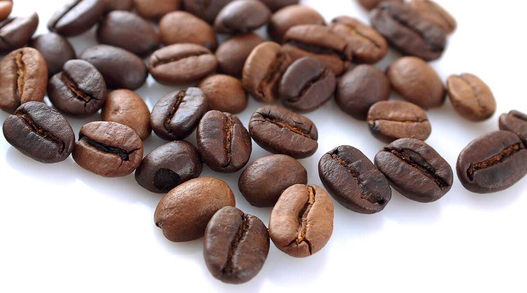 Variety of Coffee Beans