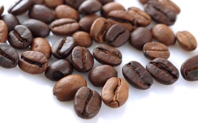 Variety of Coffee Beans