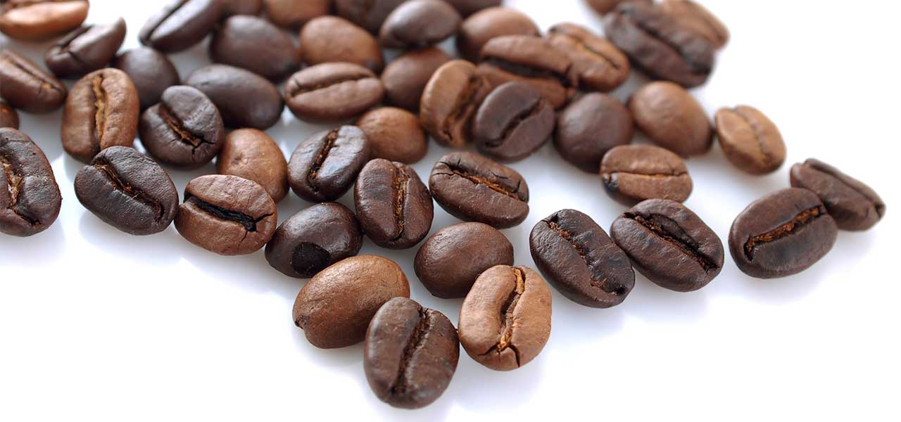 Bebax Coffee Variety